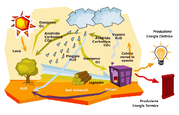 Ciclo naturale derivato dalla combustione del legno